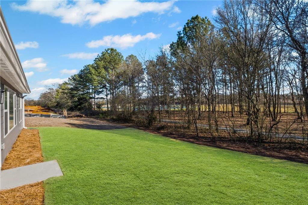 1002 Rainier Drive, Euharlee, Georgia image 7