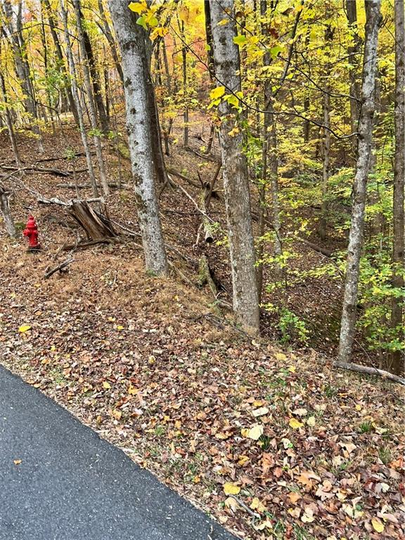 3364 Crippled Oak Trail