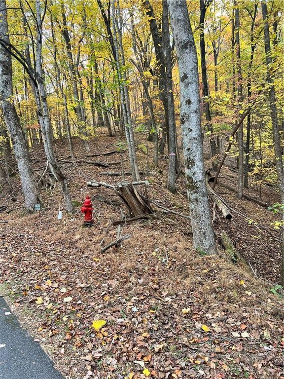 3364 Crippled Oak Trail