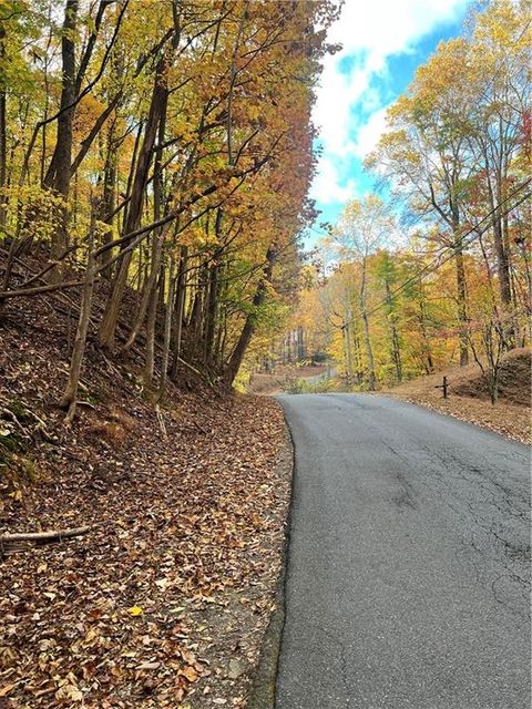 Vacant Land For Sale - 3364 Crippled Oak Trail<br/> Jasper, GA 30143