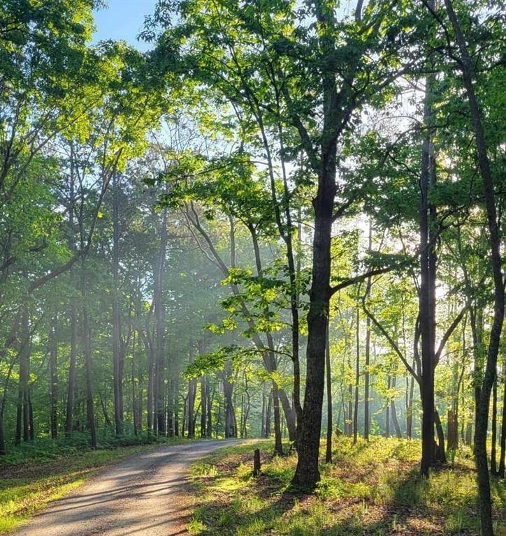 22 Vineyard Road