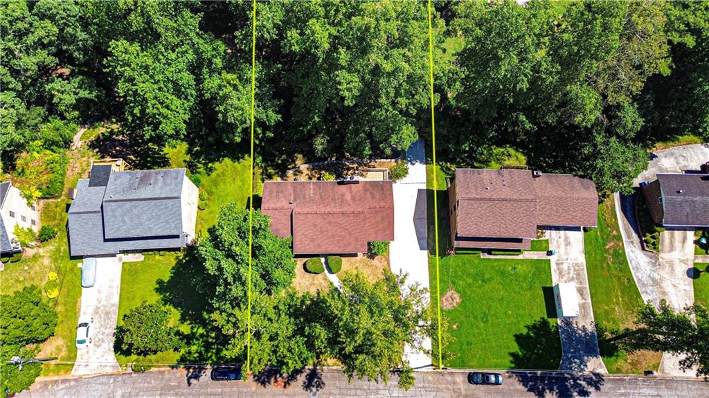 3602 Paddock Drive