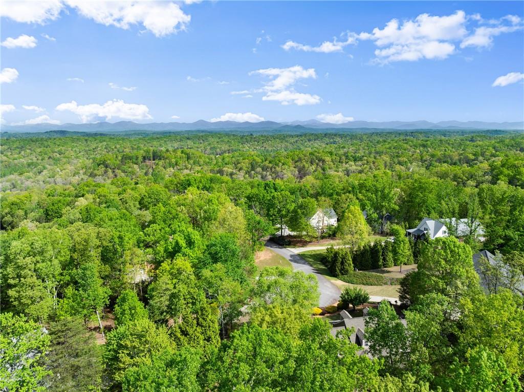 180 Buckeye Ridge, Dahlonega, Georgia image 42