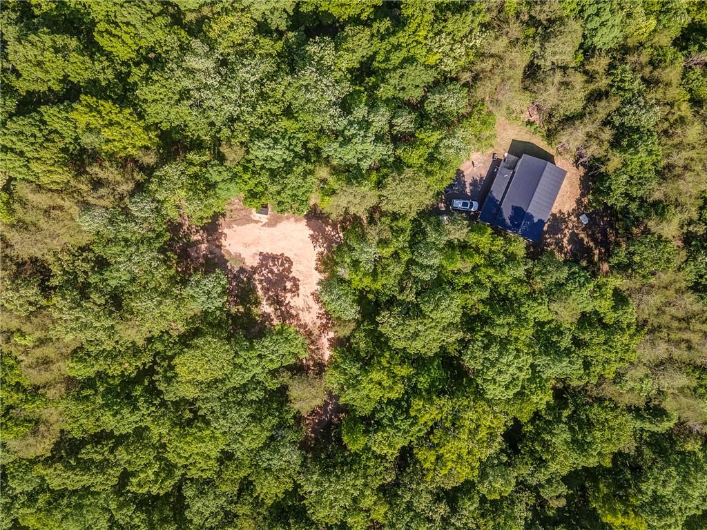 410 Pine Hill Road SE