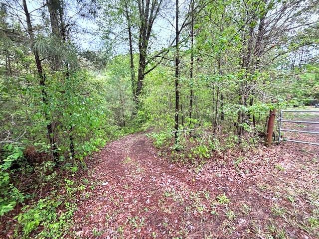 285 Glen Road, Conyers, Georgia image 18