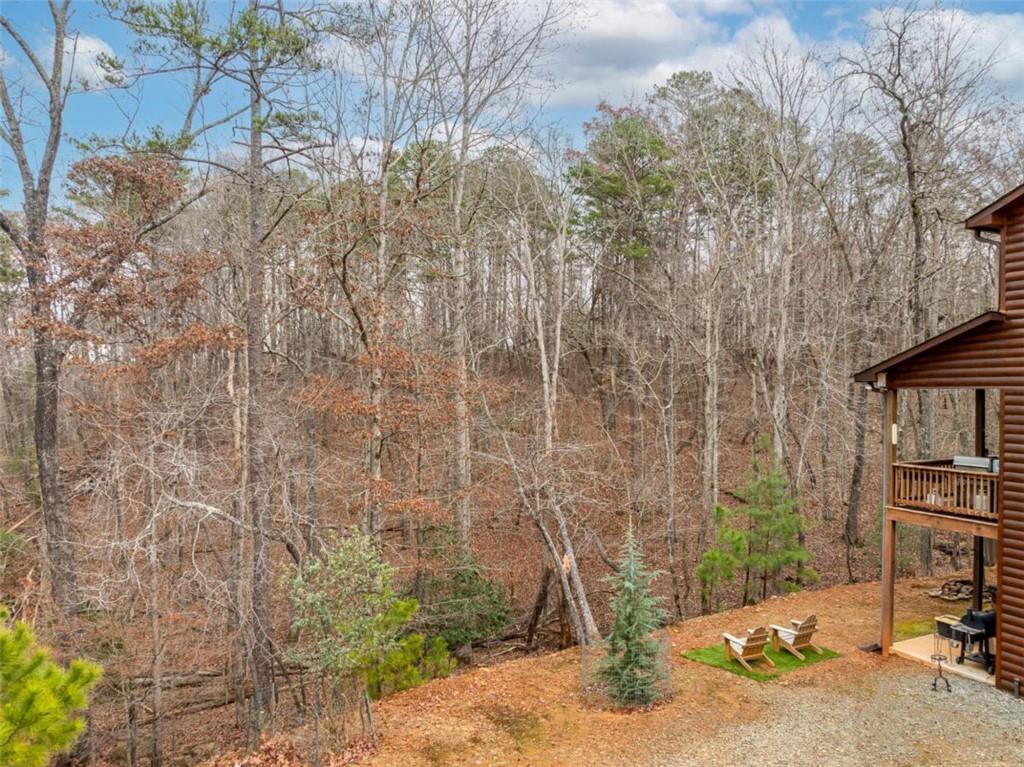 325 Morley Court, Ellijay, Georgia image 11
