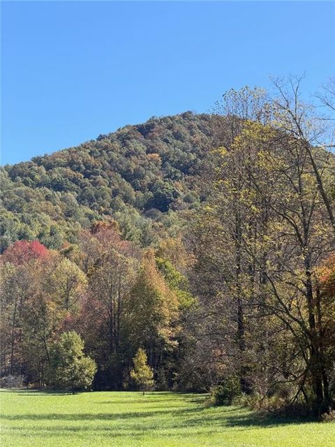 Vacant Land For Sale - Old Bucktown Road<br/> Ellijay, GA 30536