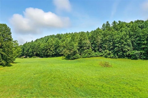 Vacant Land For Sale - Old Bucktown Road<br/> Ellijay, GA 30536