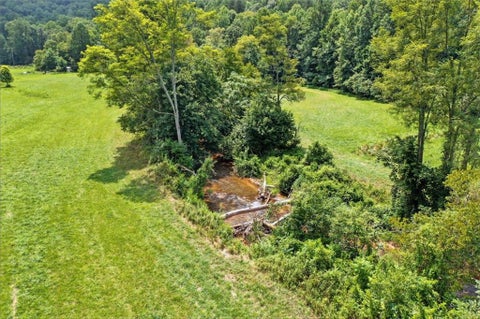 Vacant Land For Sale - Old Bucktown Road<br/> Gilmer County, Ellijay, GA 30536