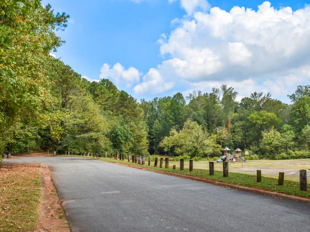 150 Wiley Bridge Court, Woodstock, Georgia image 3