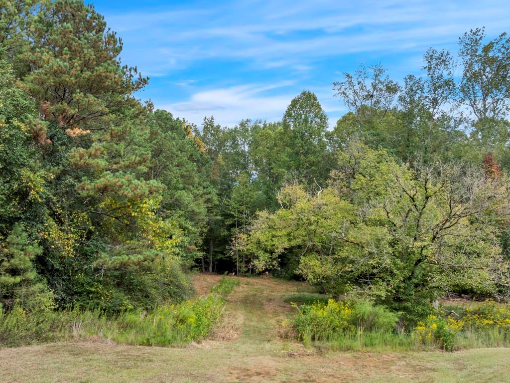 150 Wiley Bridge Court, Woodstock, Georgia image 8