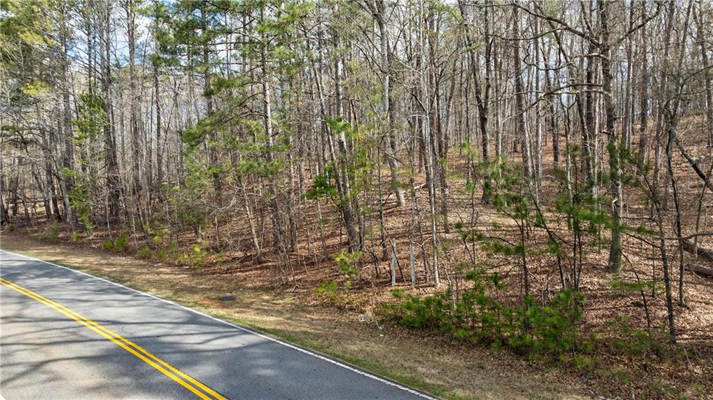 Freemanville Road, Milton, Georgia image 15