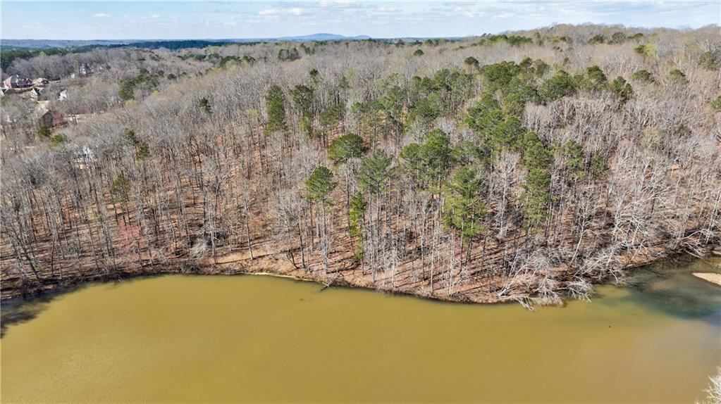 Freemanville Road, Milton, Georgia image 12