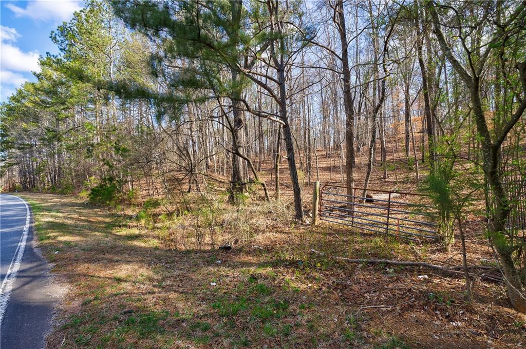 Freemanville Road, Milton, Georgia image 17