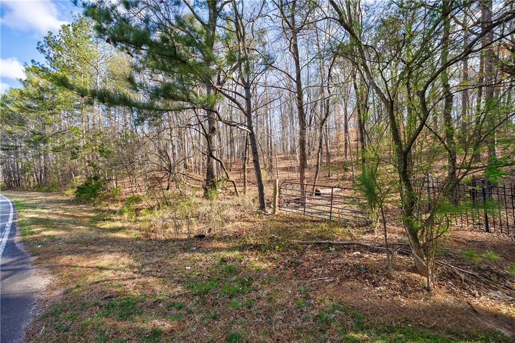 Freemanville Road, Milton, Georgia image 16
