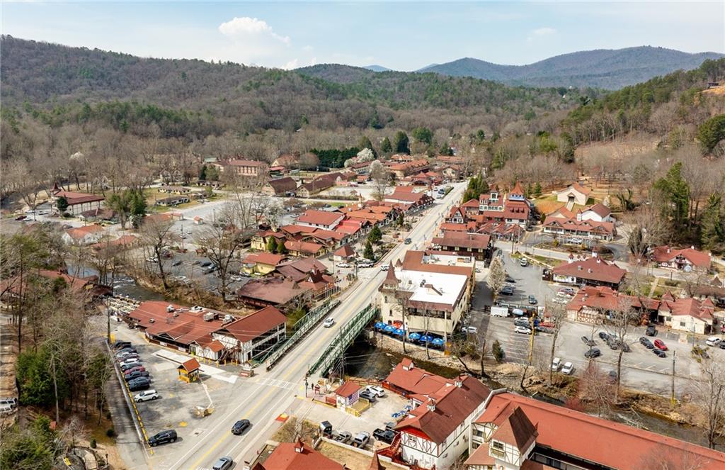 49 Baum Weg, Helen, Georgia image 42
