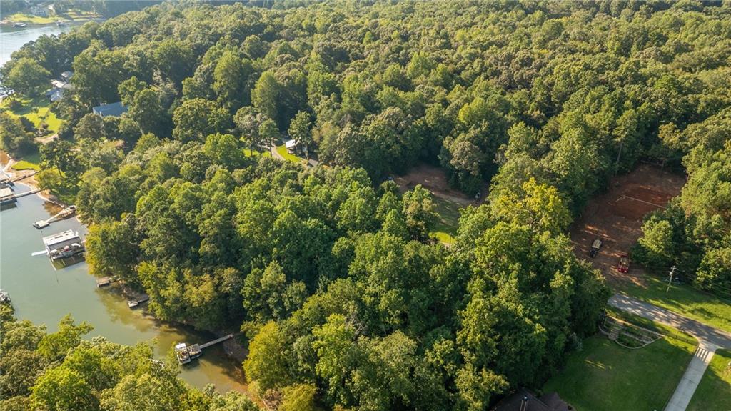 Incredible opportunity to build your dream home on Lake Lanier. With 1.1 acres at your disposal, you have the freedom to design and build the home you have envisioned. Whether it's a sprawling modern retreat or a cozy cottage the canvas is yours to create. Bring your builder and start your lake life. This property is in the highly sought after North End of Lake Lanier in Dawson County. Mary Saphire Road is well known and appreciated for its perfect blend of seclusion, yet convenience to everything needed. This street is a dead end which allows for no through traffic. With no HOA you can bring all of your watercrafts and have ample parking. There is currently a swim platform dock, approval has been given for an 18X20 dock, with sundeck. Lake access is a flat easy walk just steps away, with an open cove leading to large water, for boating, water sports, swimming or just relaxing. The allure of Lake Lanier is waiting. Imagine the possibilities.