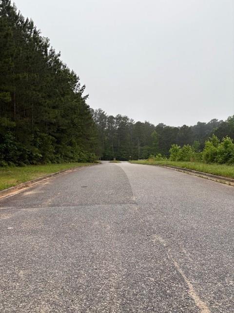 1130 Elysian Park, Atlanta, Georgia image 7