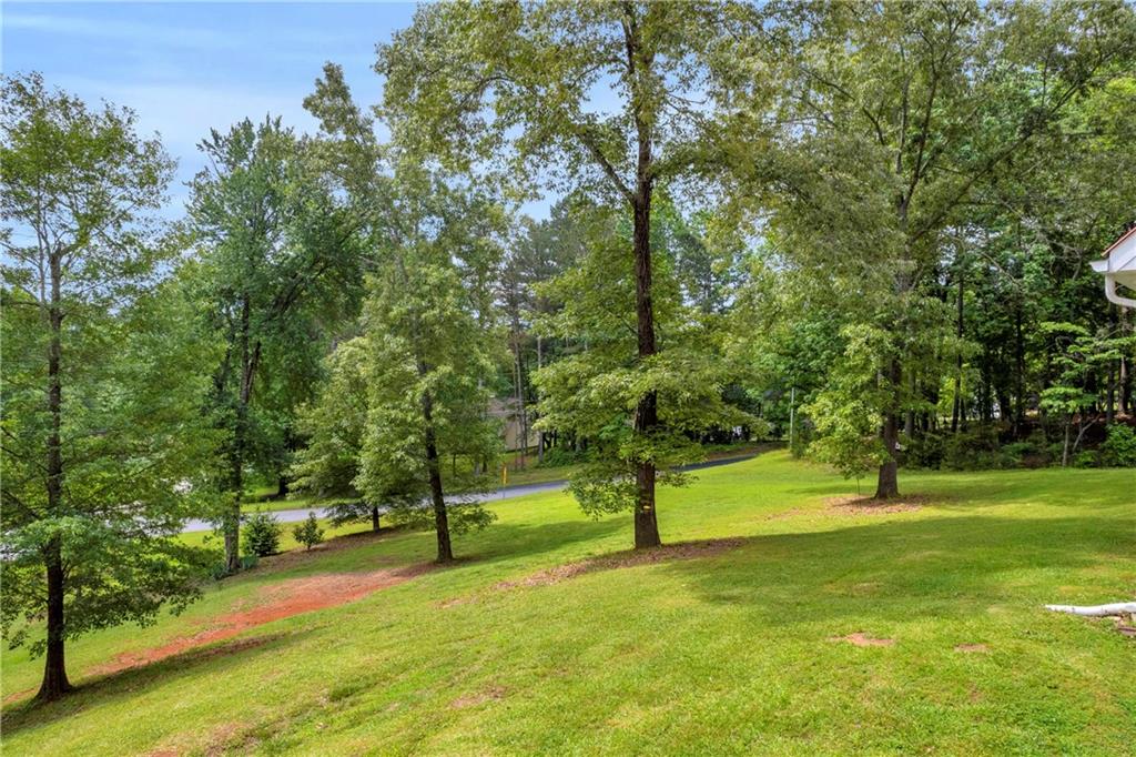 188 Mayapple Glen, Dawsonville, Georgia image 7