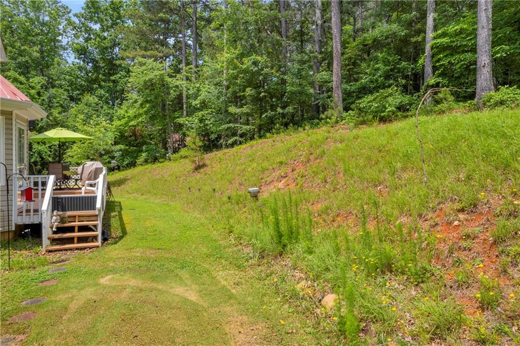 188 Mayapple Glen, Dawsonville, Georgia image 47