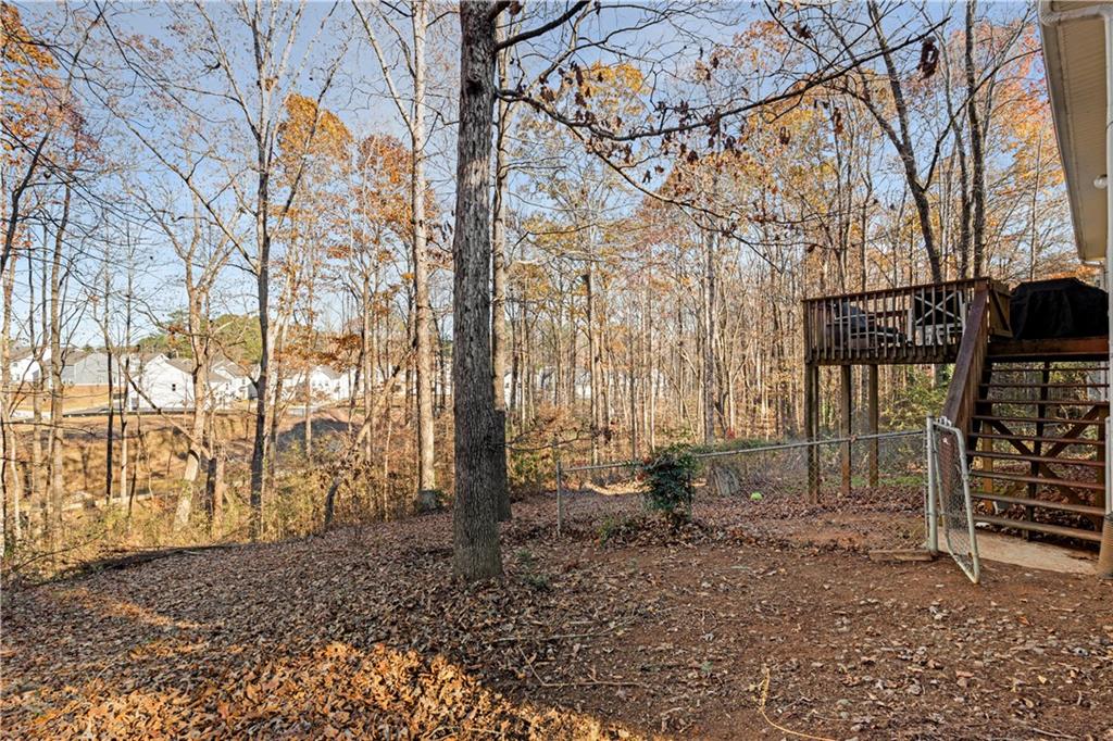 22 Deep Forest Trail, Dawsonville, Georgia image 23