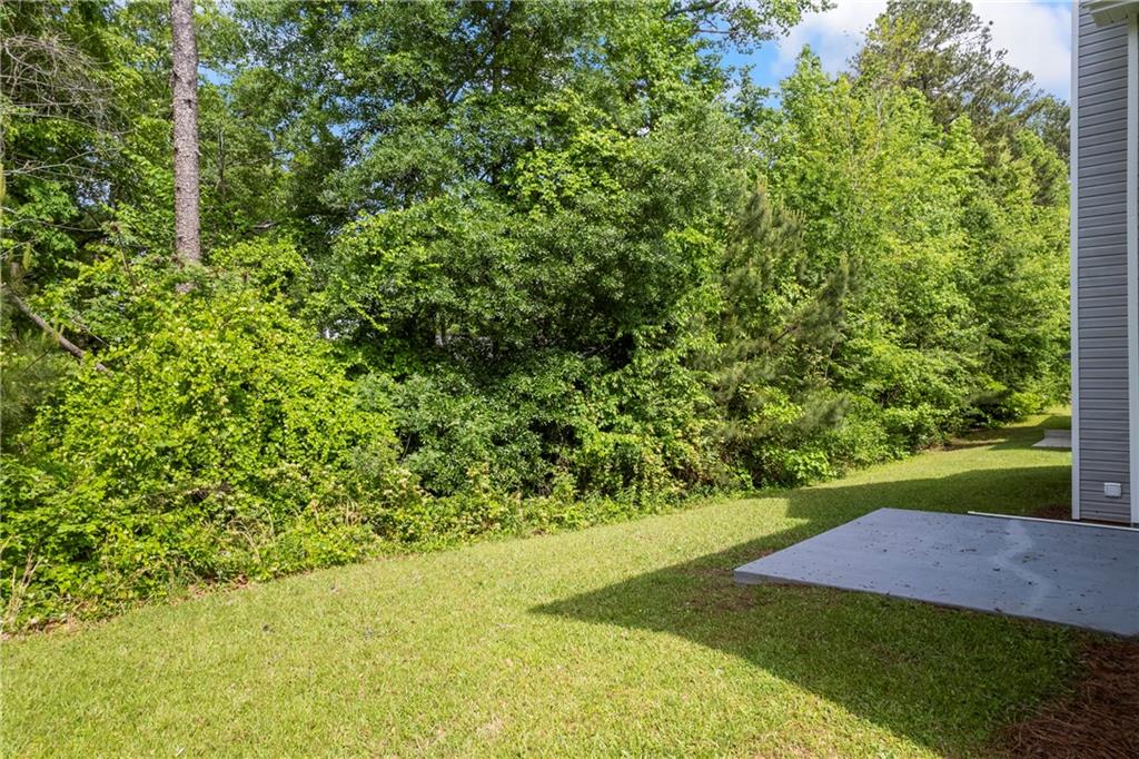6895 Smoke Ridge Drive, Atlanta, Georgia image 50