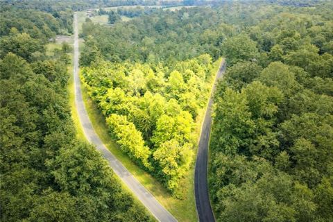 Vacant Land For Sale - Hutchings Mountain Road<br/> Rockmart, GA 30153
