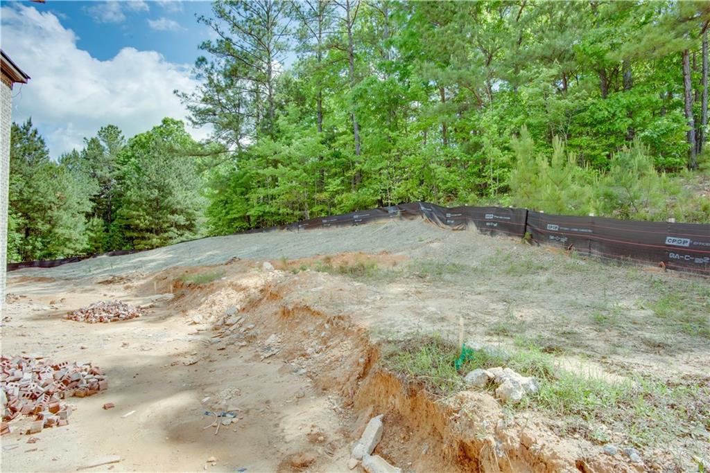 4222 Matisse Lane, Fairburn, Georgia image 31