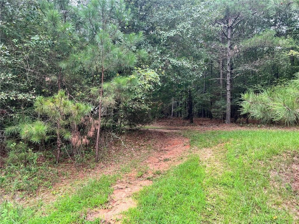 19.87 Beautiful Acres! Enjoy the extreme privacy with walking trails throughout the property! Home needs a little TLC, 4 bedrooms, 2 master suites, large fireplace in living room, 2 car garage and plenty of room to spread out.
