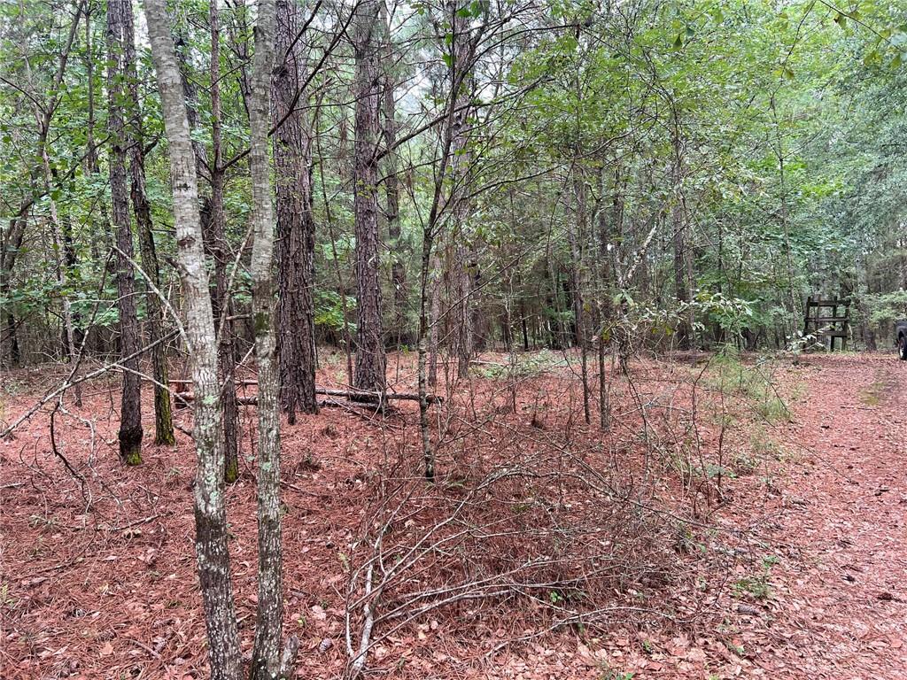 1383 Sims Road