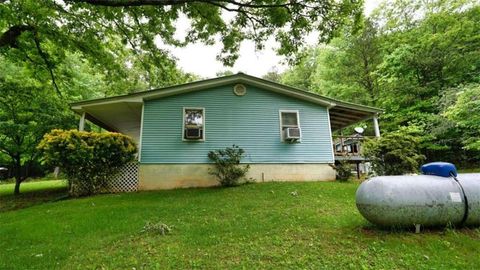 A home in Blue Ridge