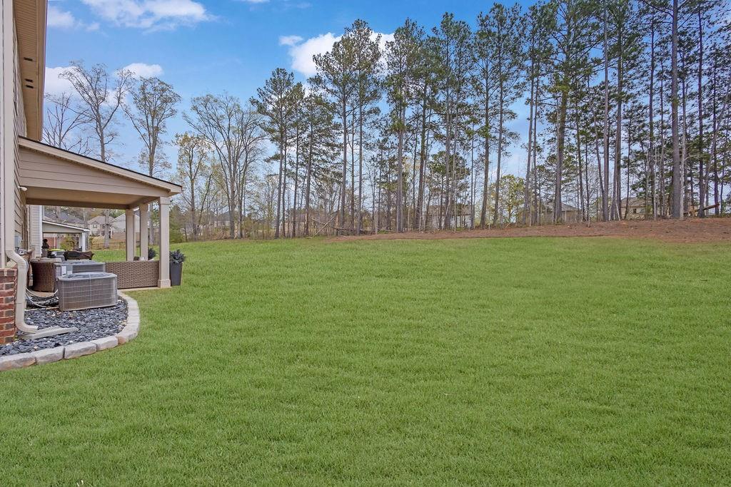8033 Louis Drive, Locust Grove, Georgia image 31