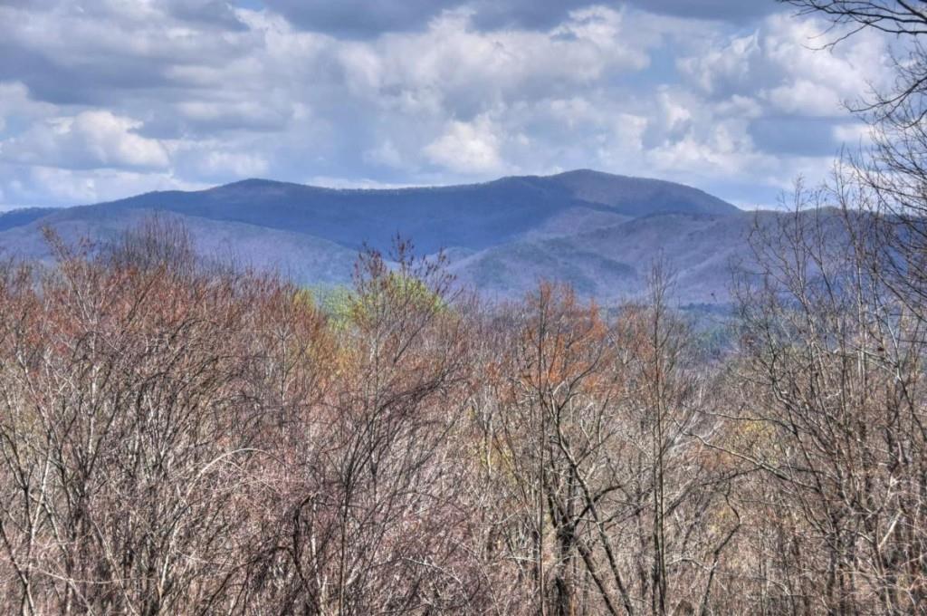 1113 Cherry Lake Drive