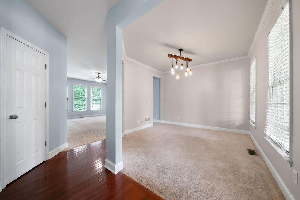 230 Treadstone Lane