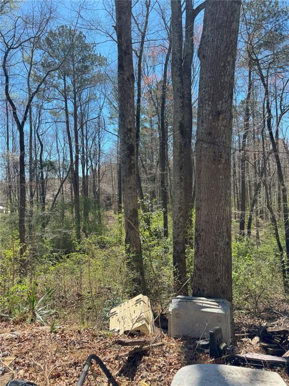 470 Yearling Drive, Loganville, Georgia image 27