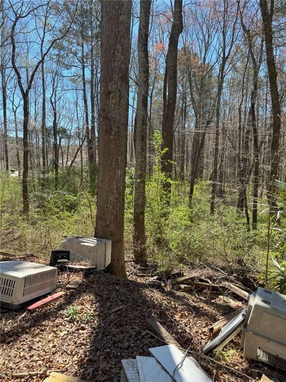 470 Yearling Drive, Loganville, Georgia image 25