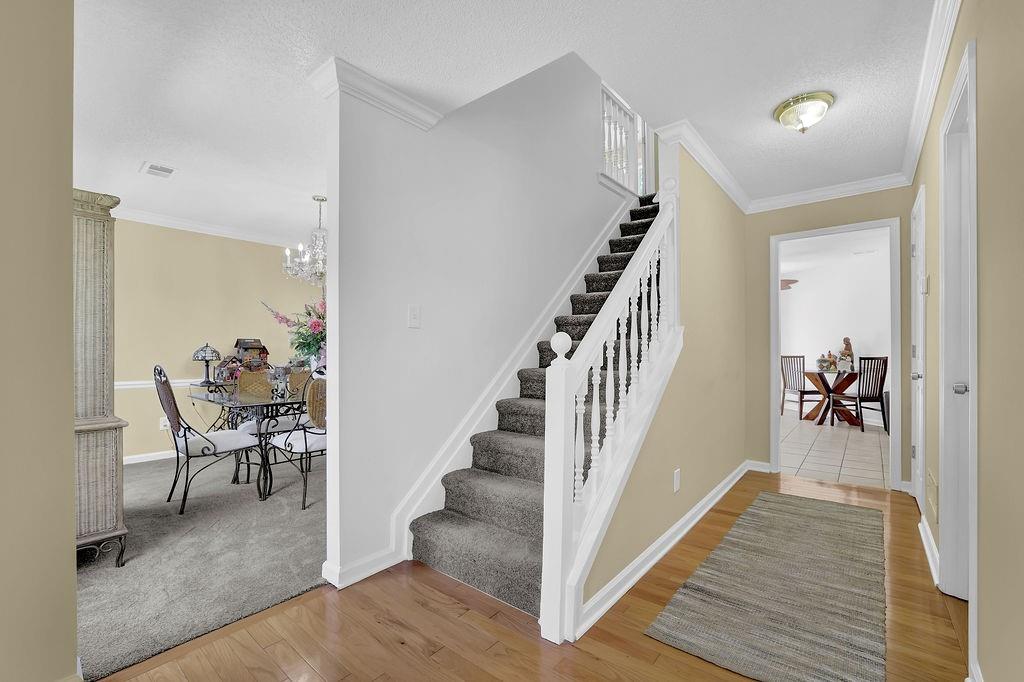 985 Laurel Springs Lane