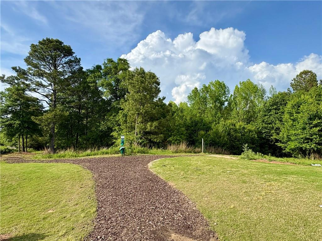3785 Newbury Place Drive, Loganville, Georgia image 37