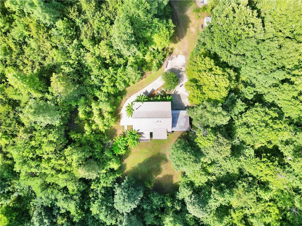 376 Doe Lane