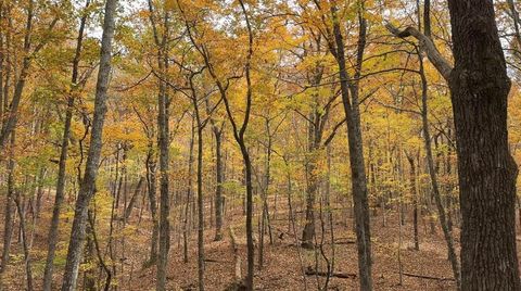 Vacant Land For Sale - Super Deluxe Road<br/> Rockmart, GA 30153