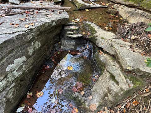 Slider Thumb