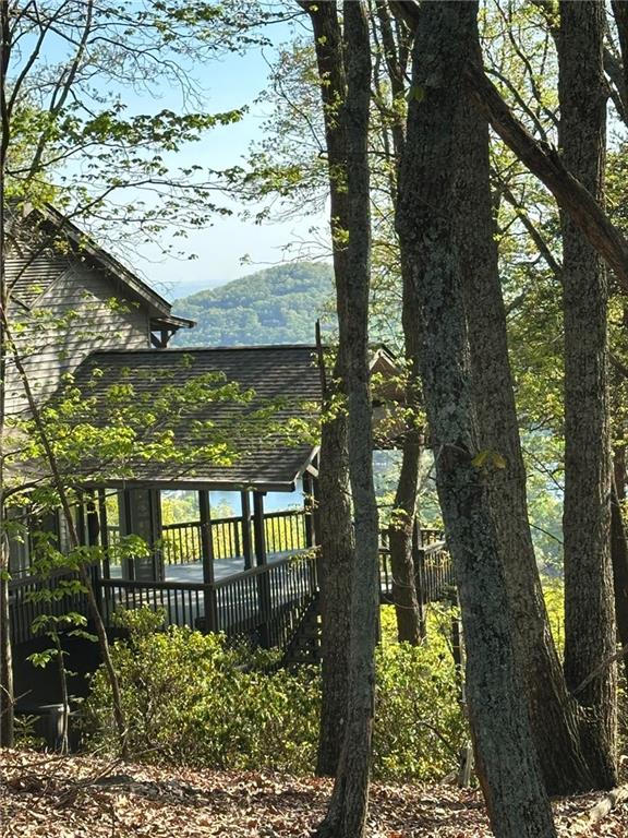 141 Wood Fern Knoll