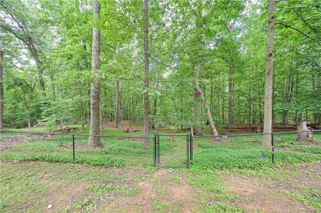 7533 Mason Falls Drive, Winston, Georgia image 39