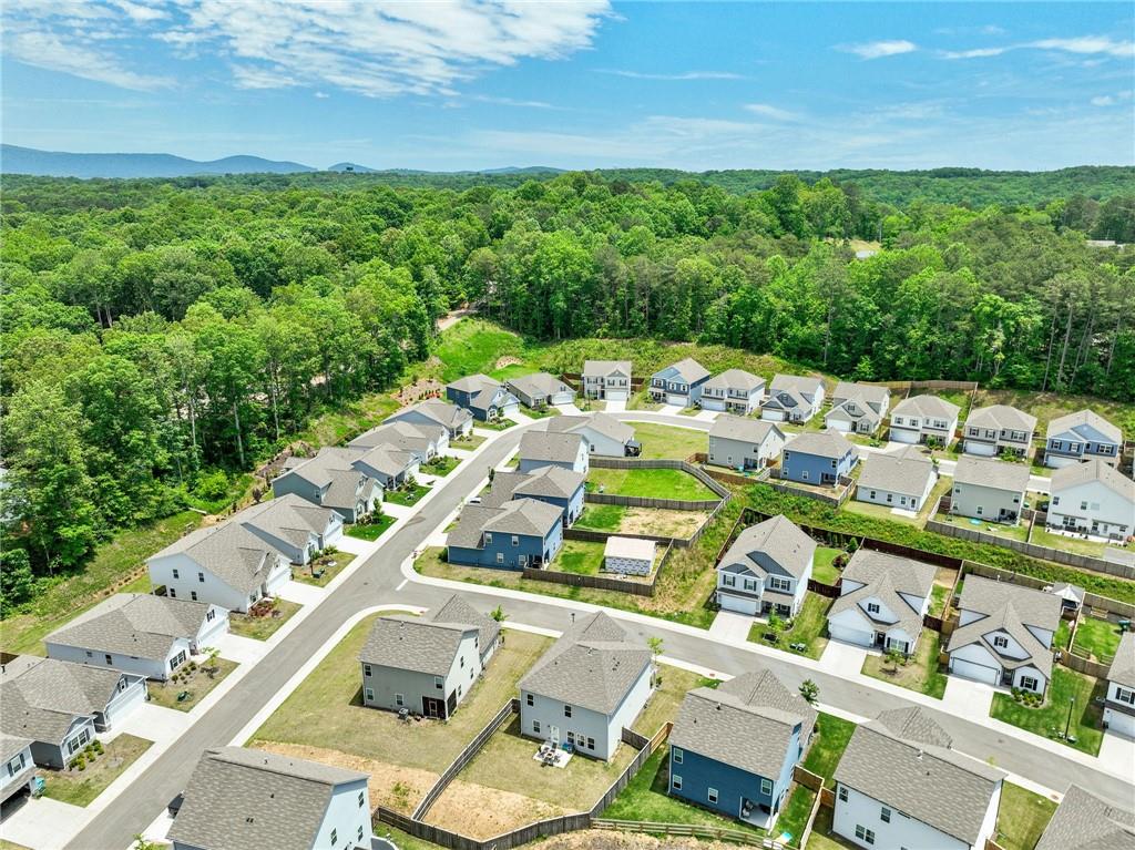 115 Copeland Bend, Jasper, Georgia image 38