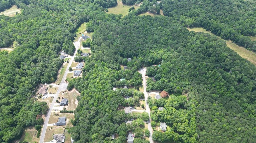 County Line Auburn Road, Winder, Georgia image 10