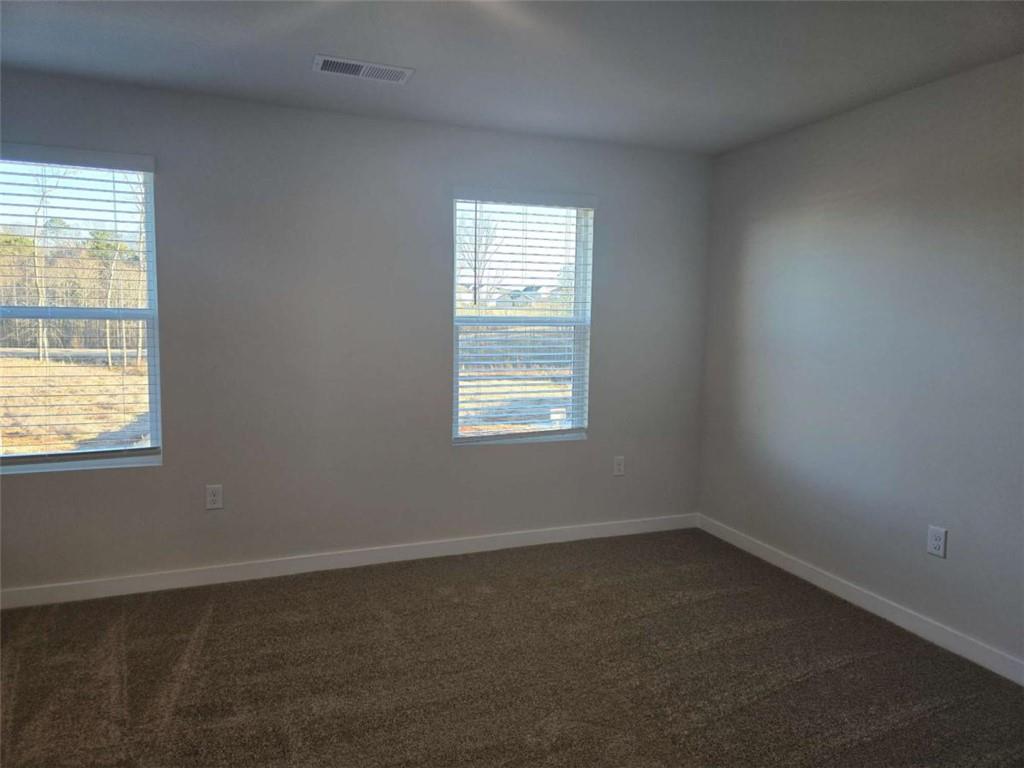 246 Crabapple Road, Mcdonough, Georgia image 42
