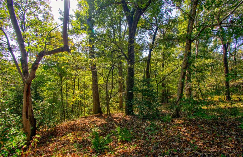 00 Highway 52 West, Lot 5, Dahlonega, Georgia image 3