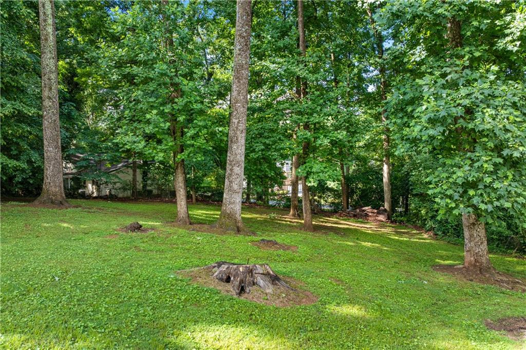 3210 Roseheath Lane, Lithonia, Georgia image 43