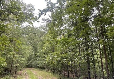 Vacant Land For Sale - 933 Apex Court<br/> Ranger, GA 30734