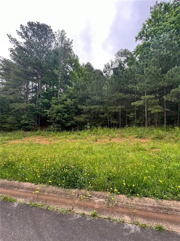 White, Georgia 30184, United States, ,Land,Active,174303